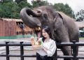 Harga Tiket Lembang Park & Zoo Bandung Barat Oktober 2026, Mulai Rp65 Ribu